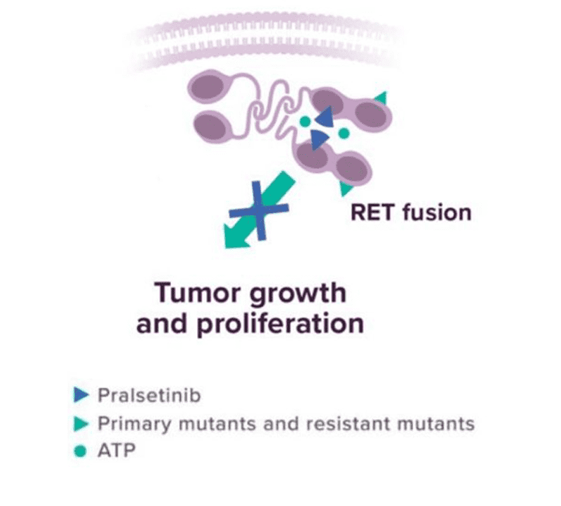 tumor growth